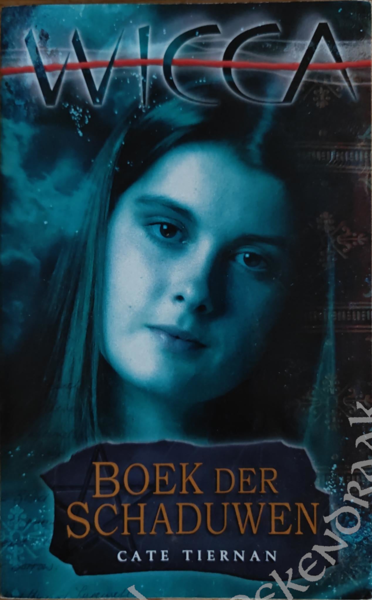 Boek der schaduwen - Wicca - boek 1