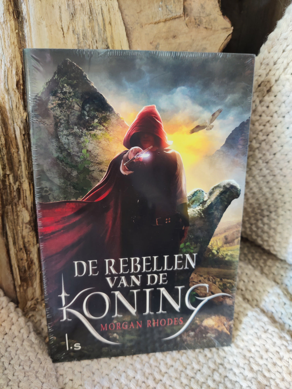 De rebellen van de Koning