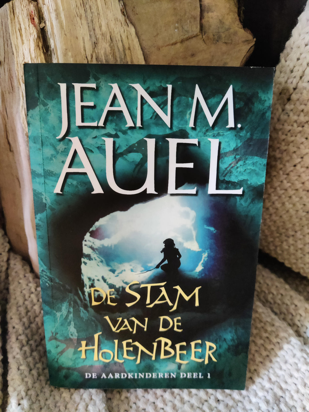 De stam van de Holebeer