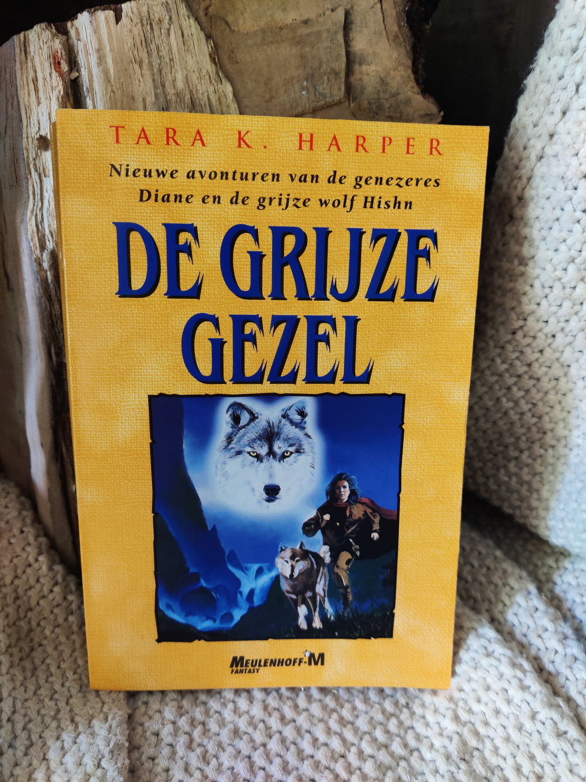 De Grijze Gezel