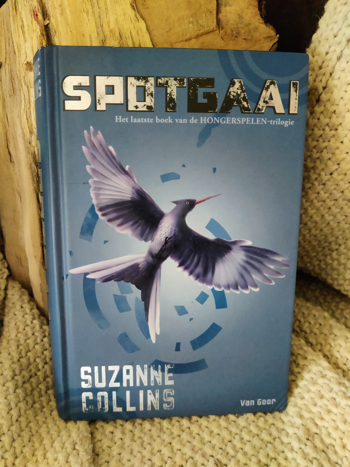 Spotgaai