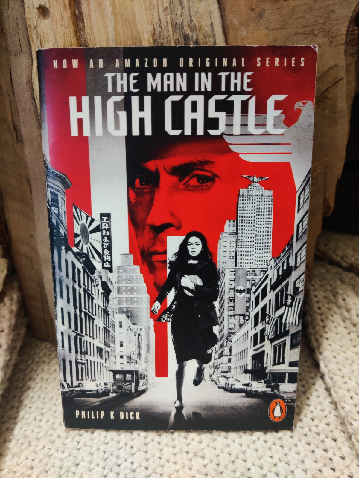 The man in the high castle