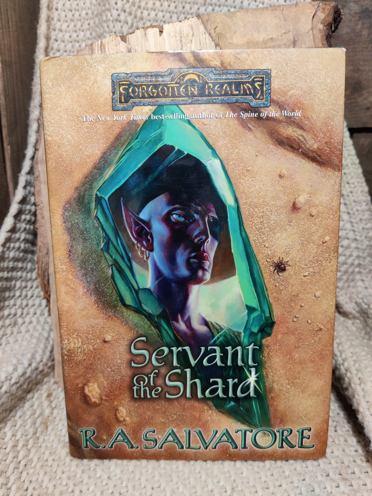 Servant of the Shard