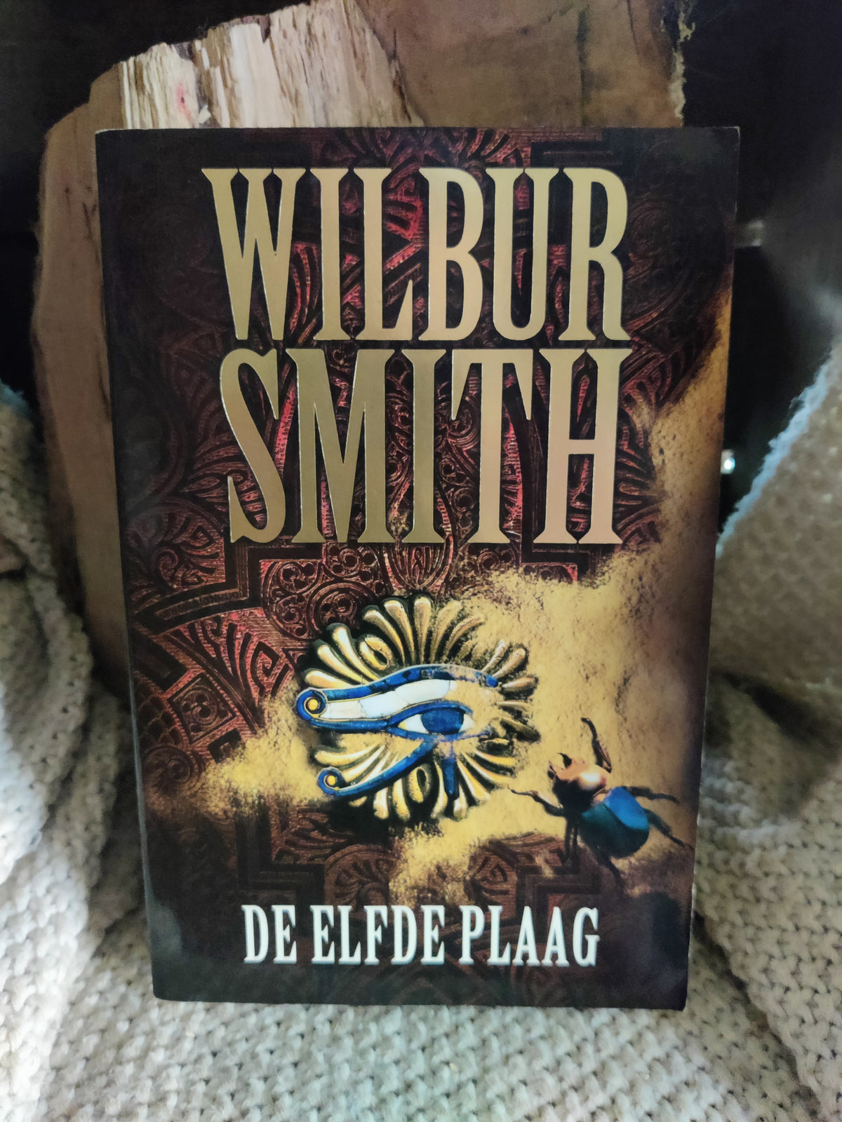 De elfde plaag