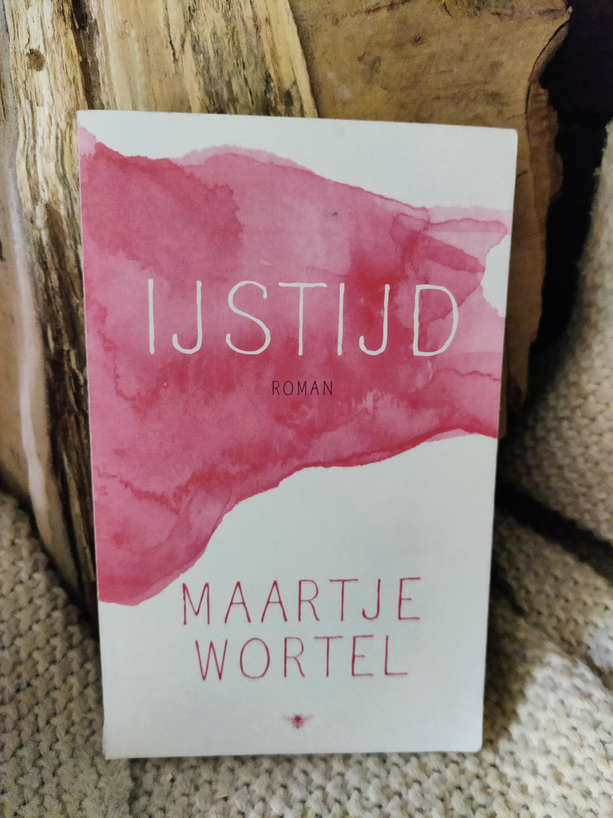 IJstijd