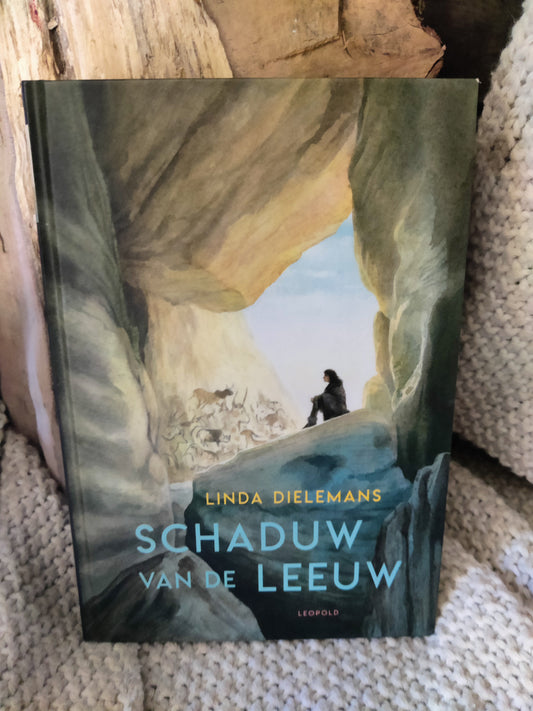 Schaduw van de leeuw