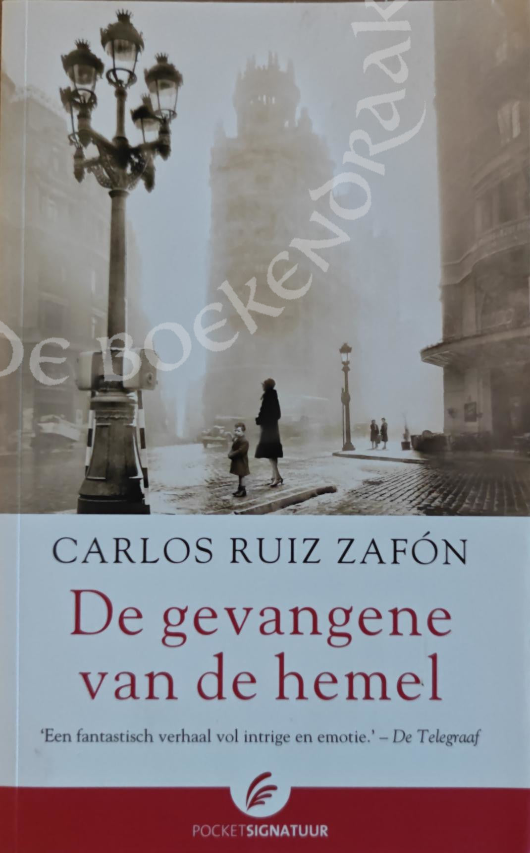 De gevangene van de hemel