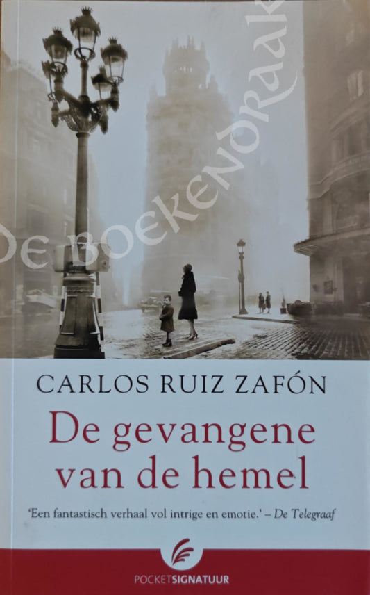 De gevangene van de hemel