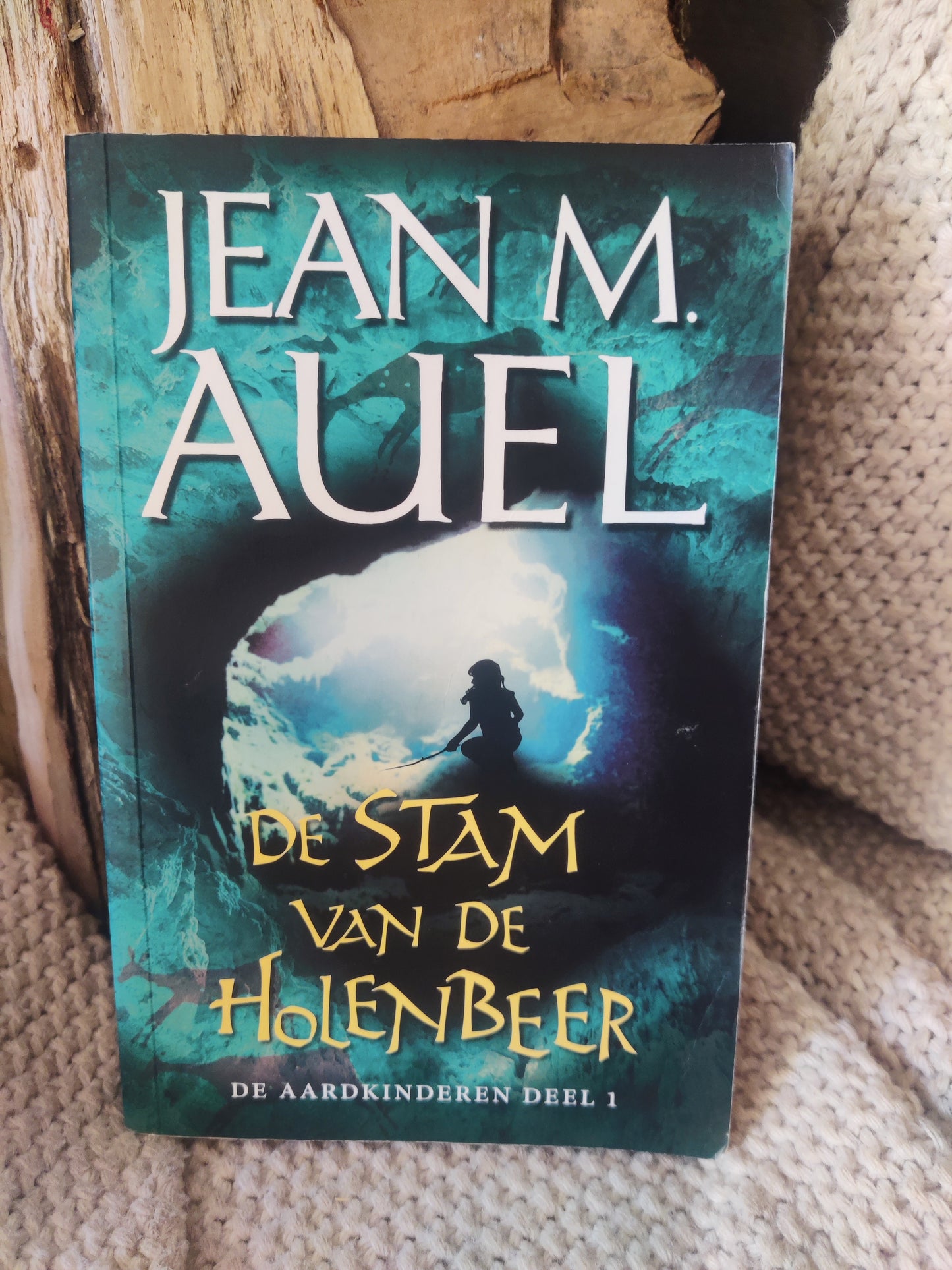 De stam van de Holebeer