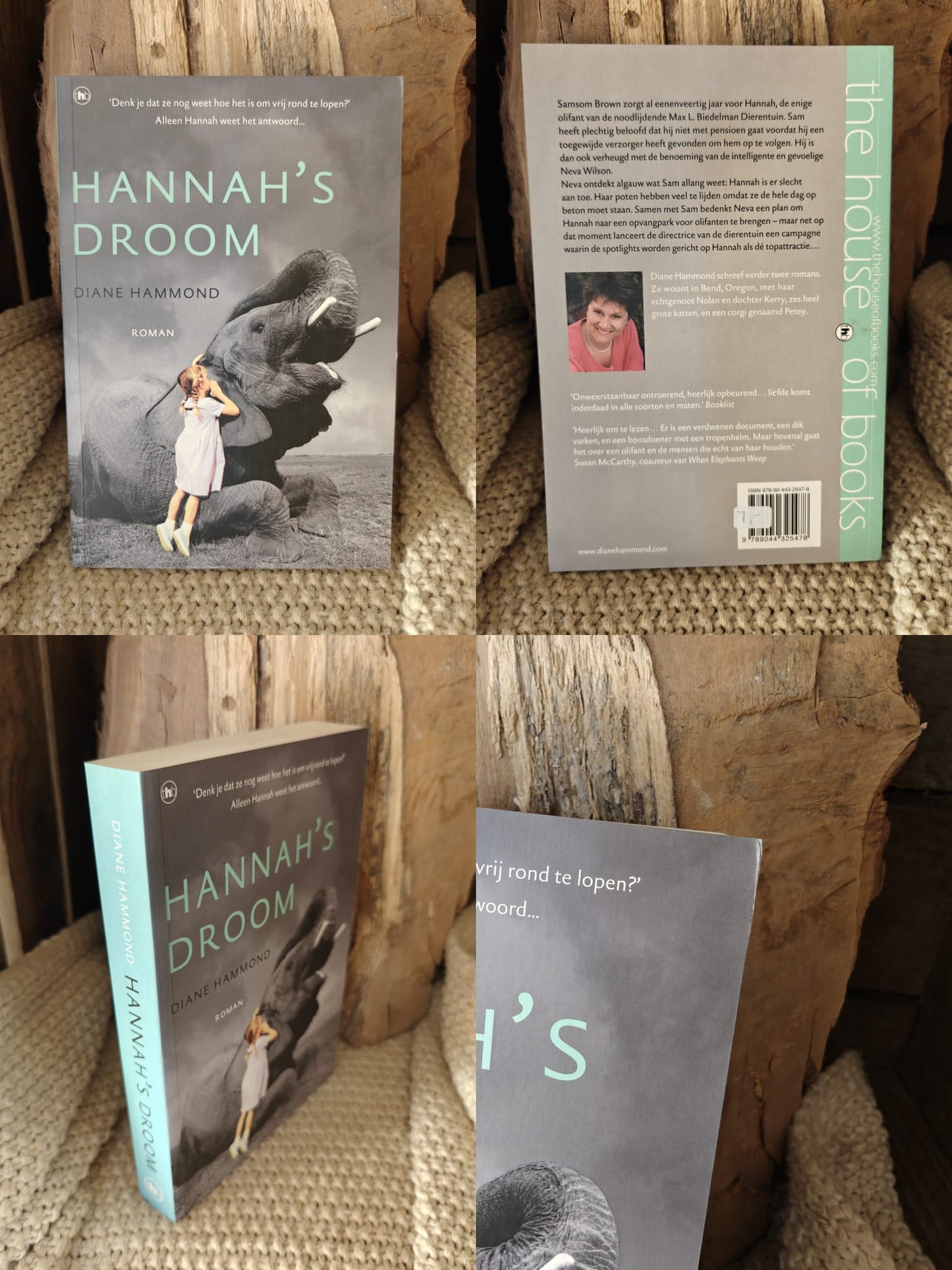 Hannah's Droom