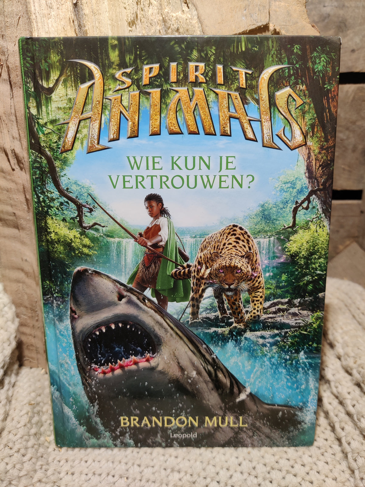 Wie kun je vertrouwen?