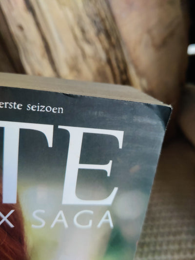 Winx - Een magische ontmoeting