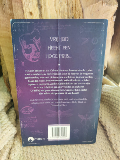 Het Zilveren Masker