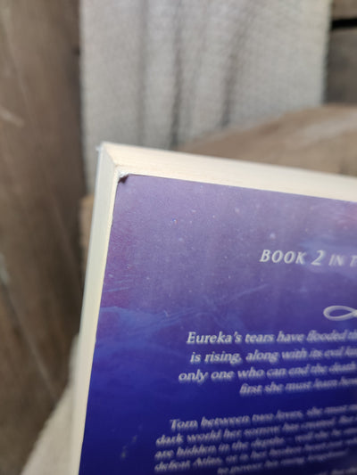 Foto van het boek