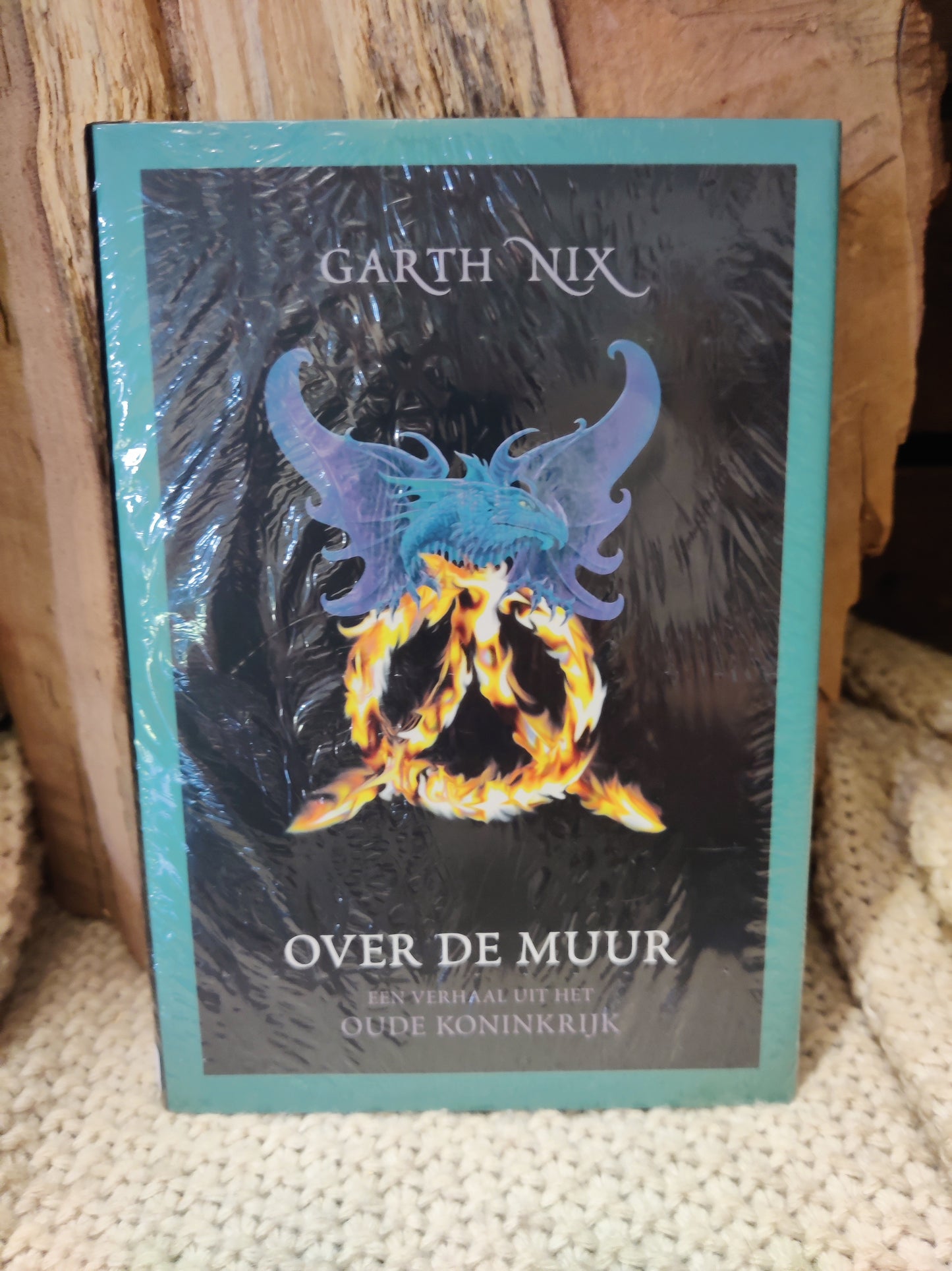 Over de muur