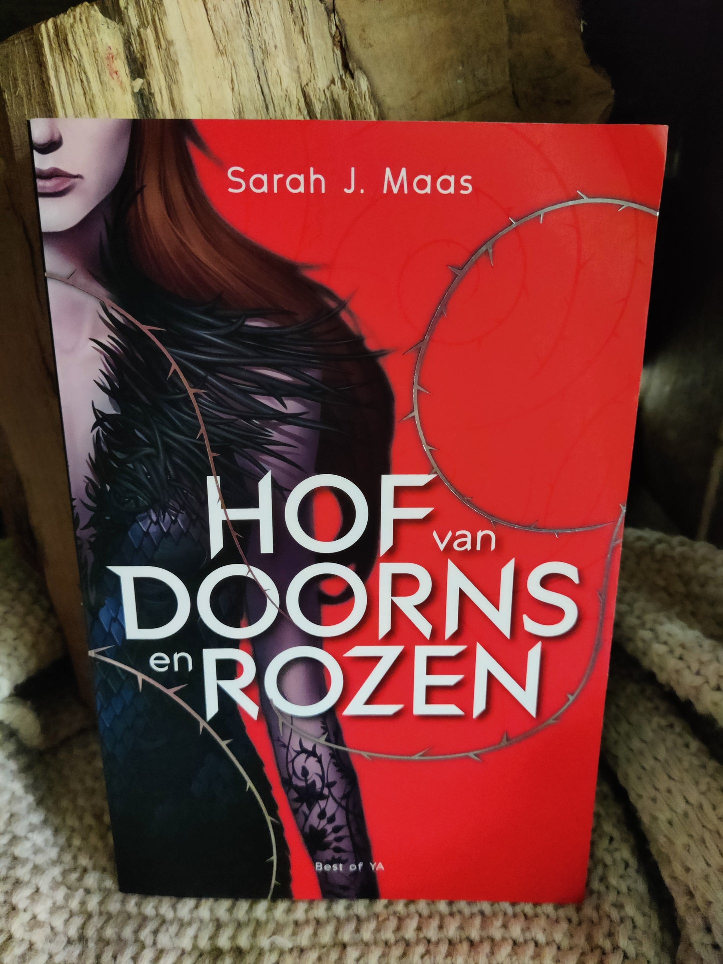 Hof van Doorns en Rozen
