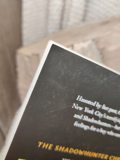 City of Ashes