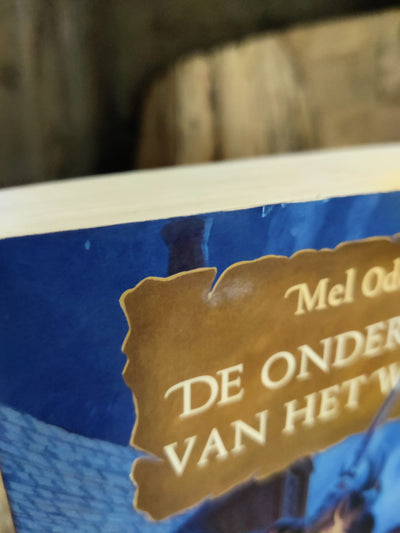 De ondergang van het woord