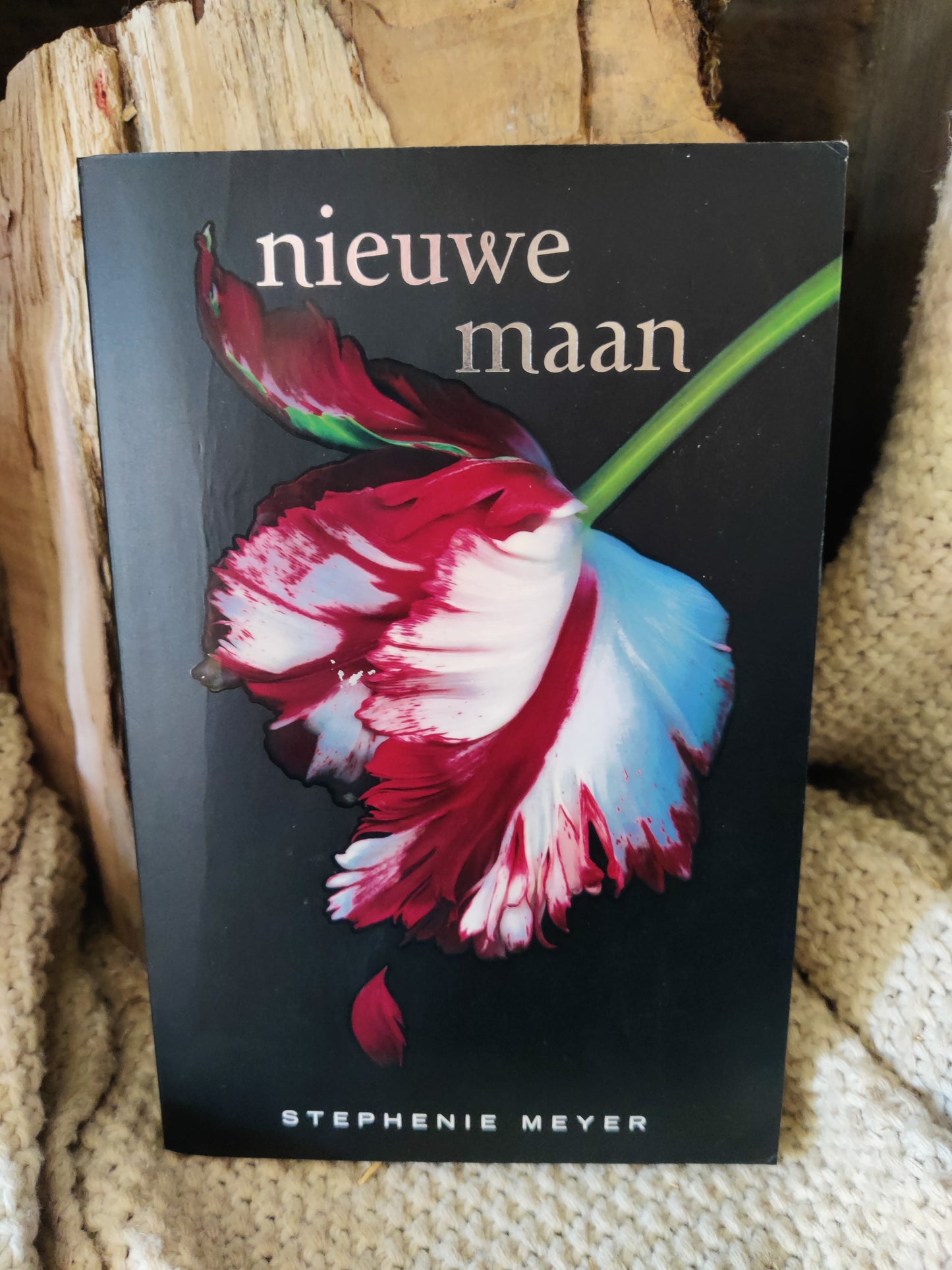 Nieuwe maan