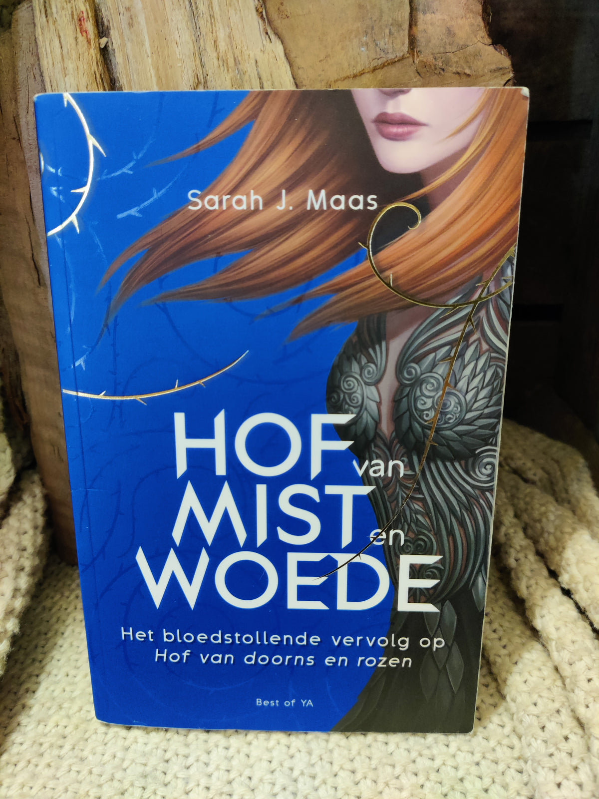 Hof van Mist en Woede