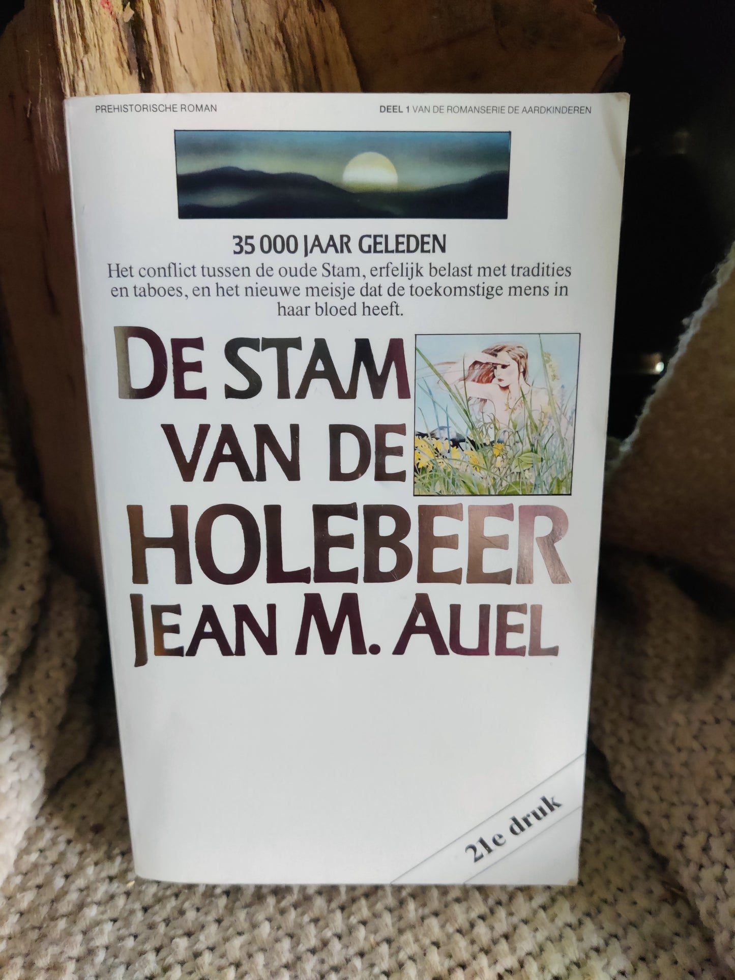 De stam van de Holebeer