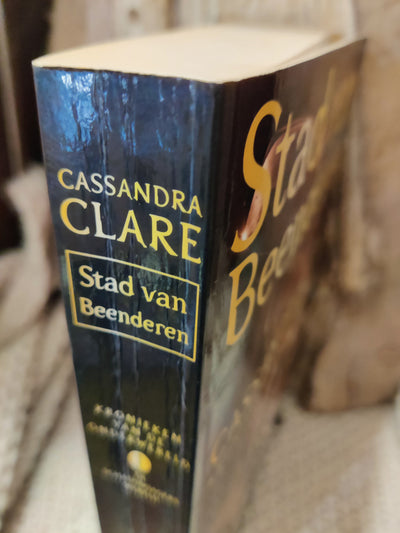 Foto van het boek
