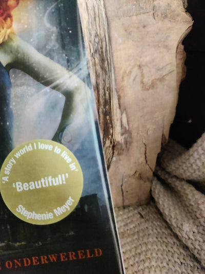 Foto van het boek