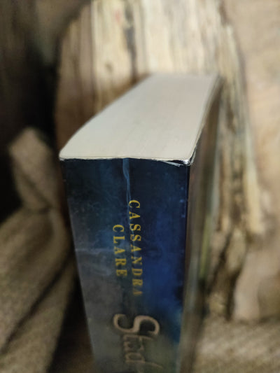 Foto van het boek