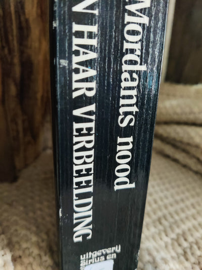 De spiegel van haar verbeelding