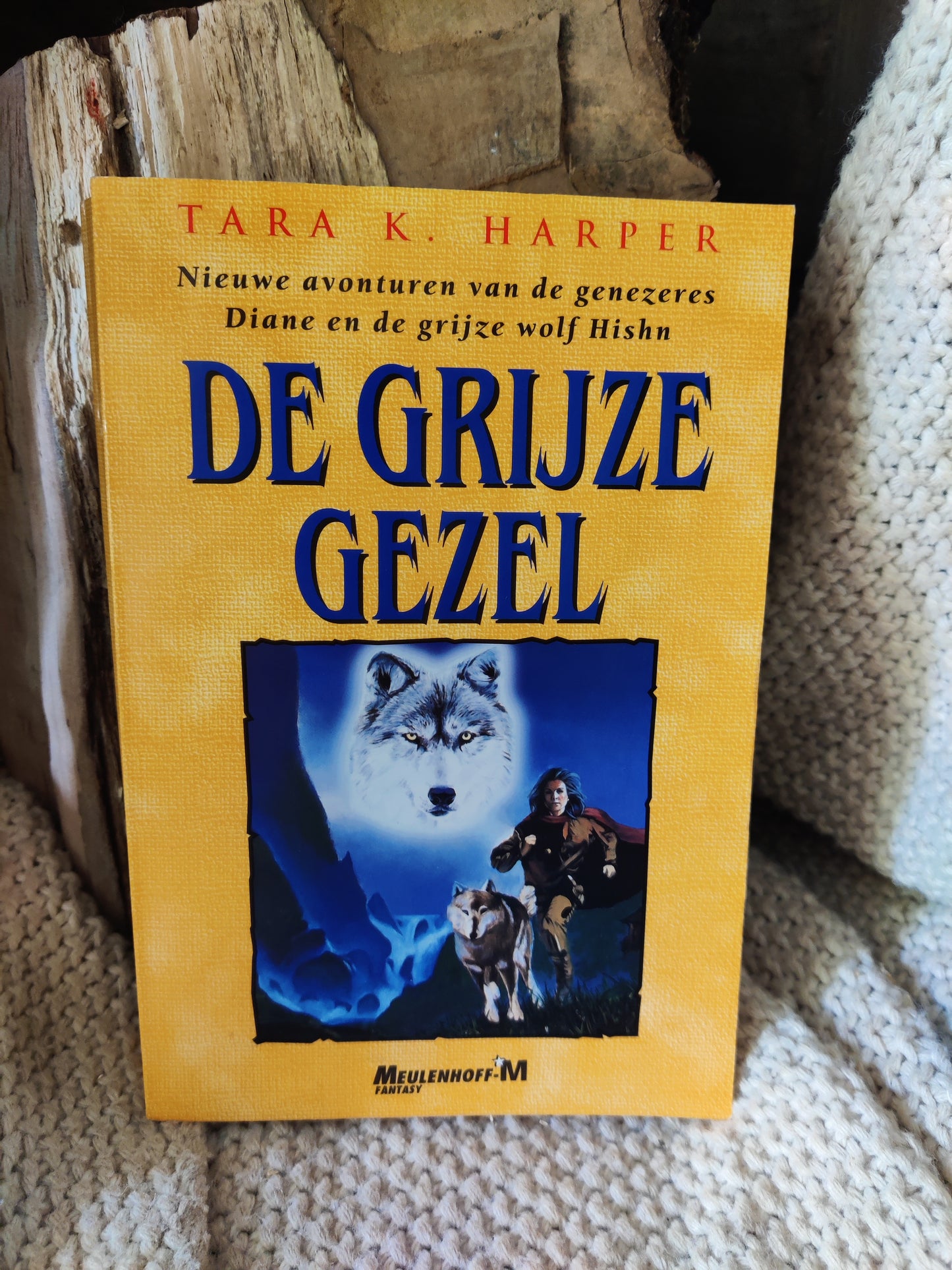 De Grijze Gezel