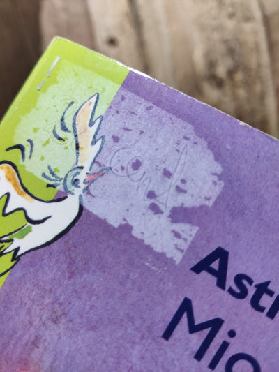 Foto van het boek