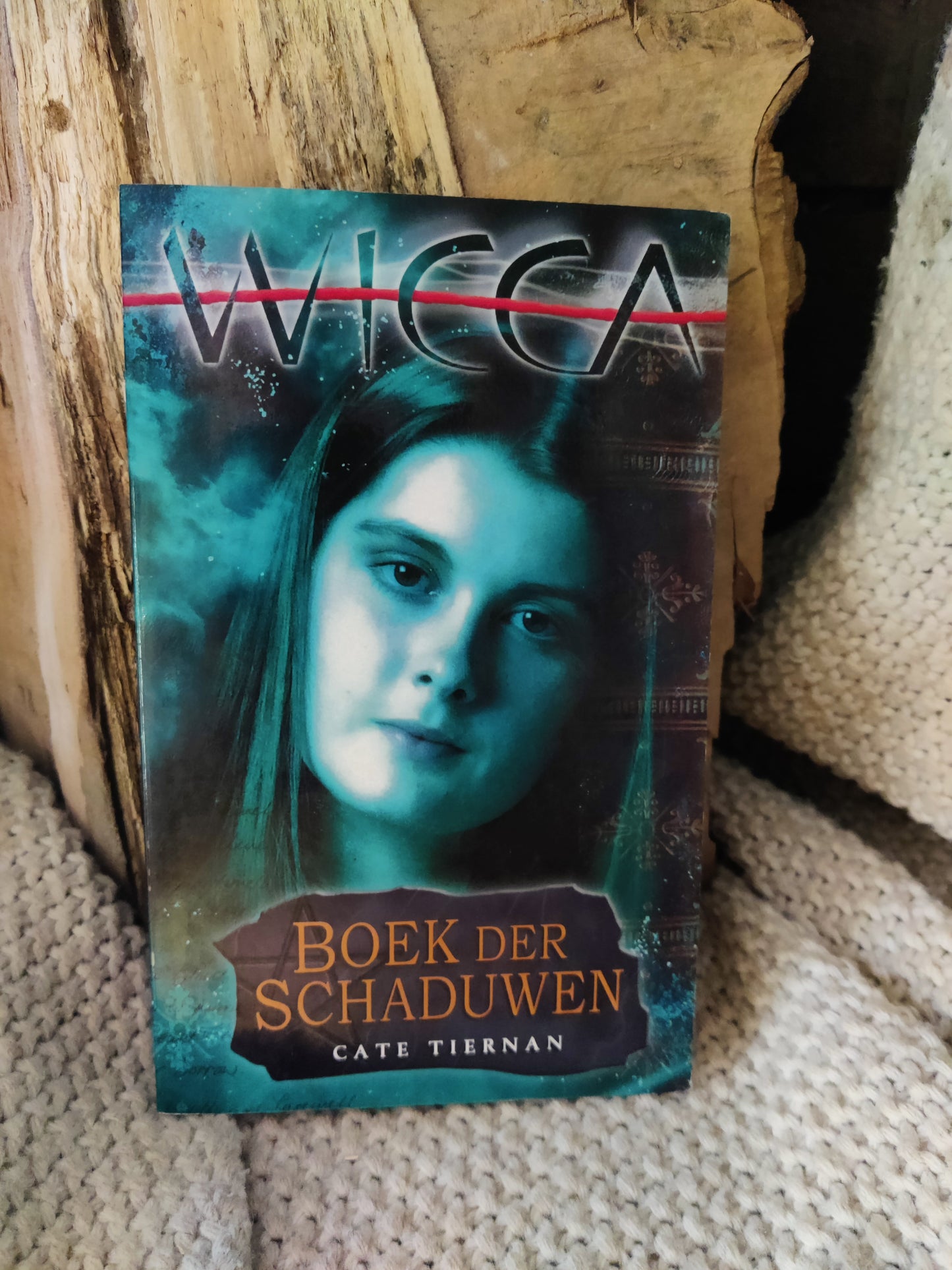 Boek der schaduwen