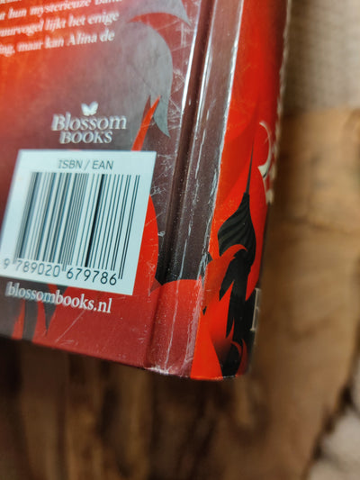 Foto van het boek