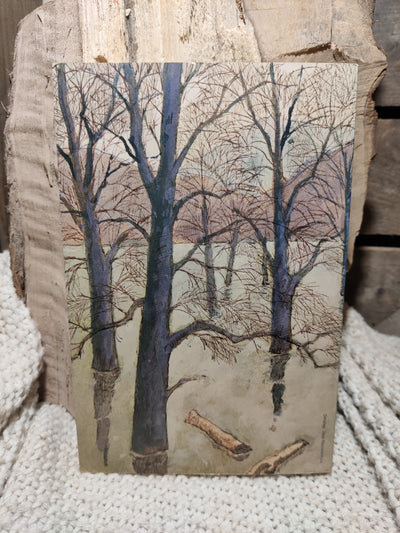 De magische mantels