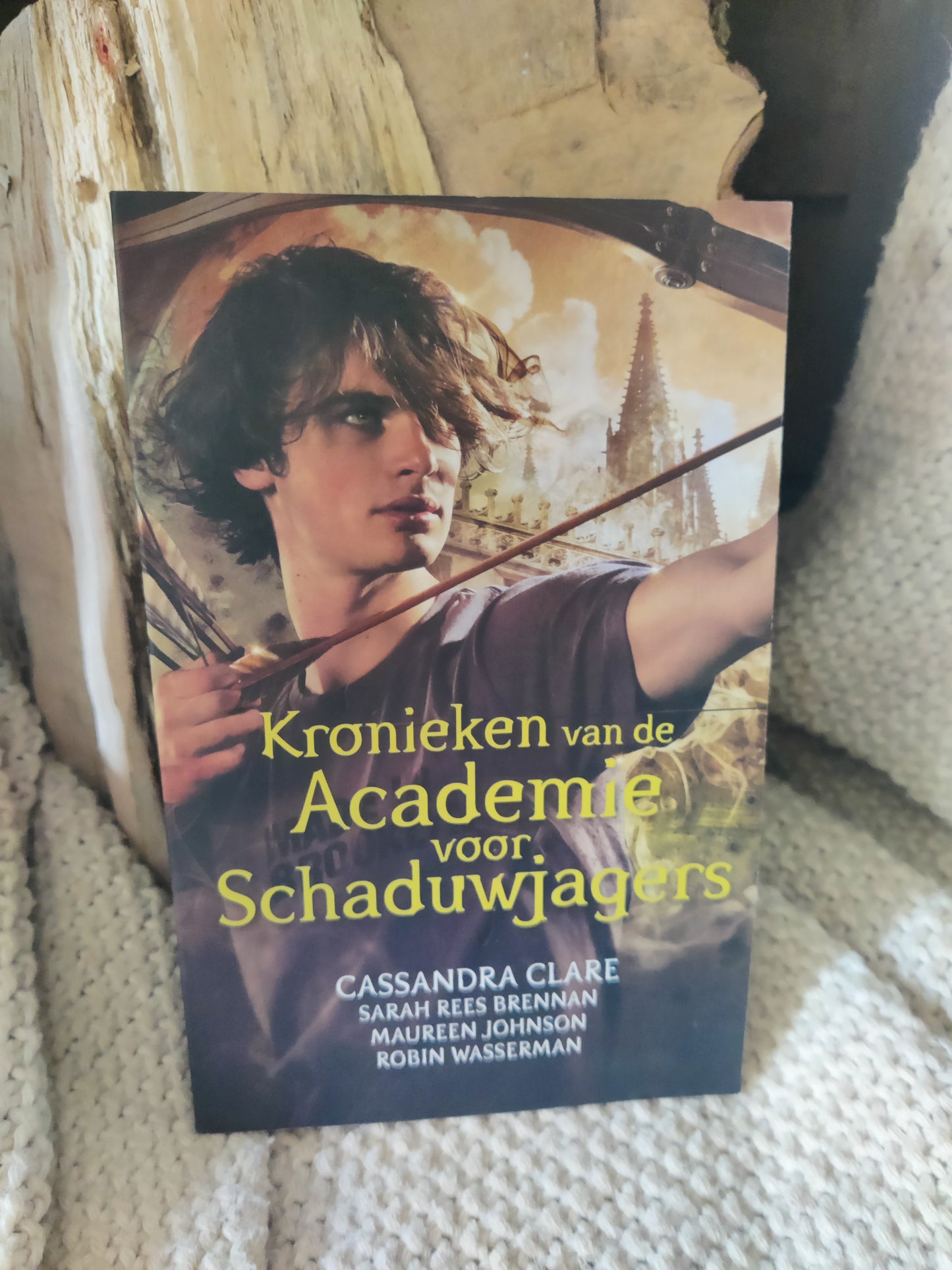 Kronieken van de Academie voor Schaduwjagers