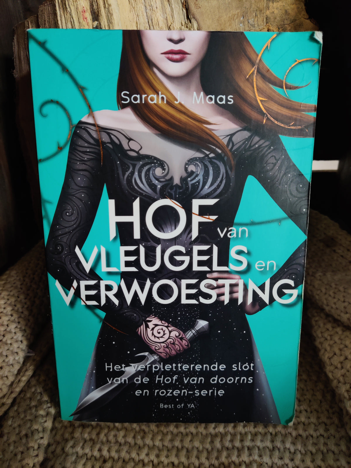 Hof van Vleugels en Verwoesting