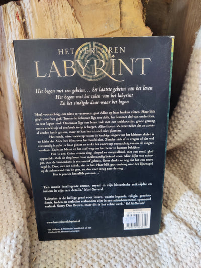 Het verloren labyrint
