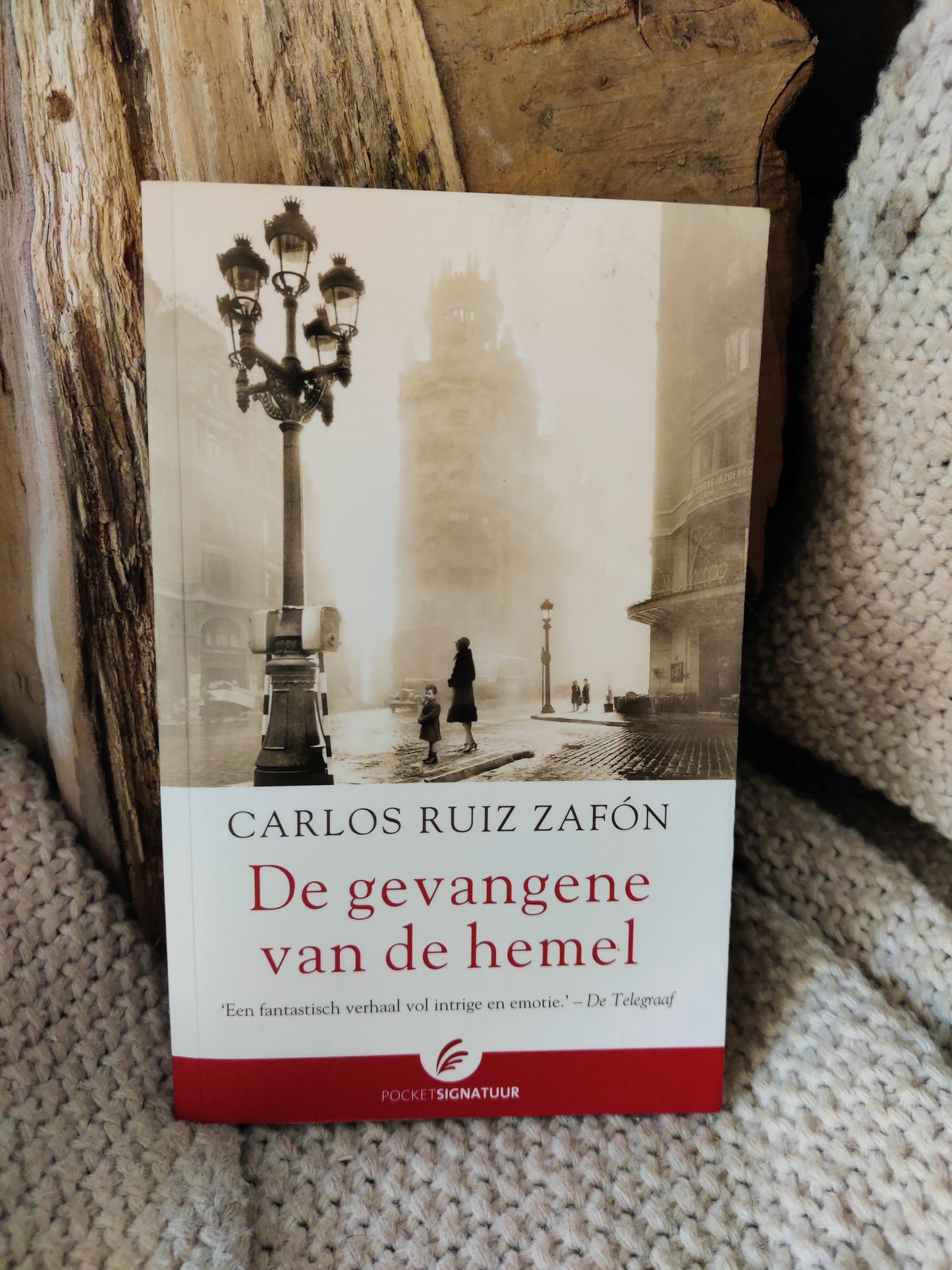 De gevangene van de hemel