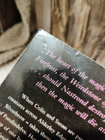 The Weirdstone of Brisingamen