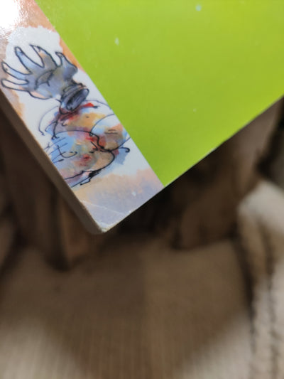 Foto van het boek