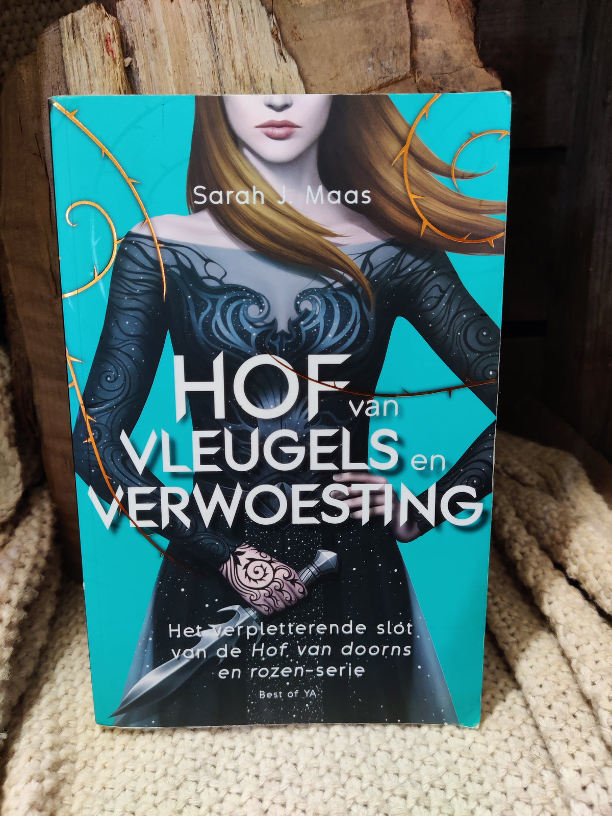 Hof van Vleugels en Verwoesting