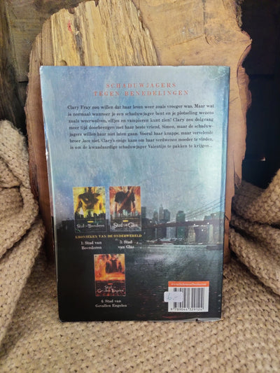 Foto van het boek