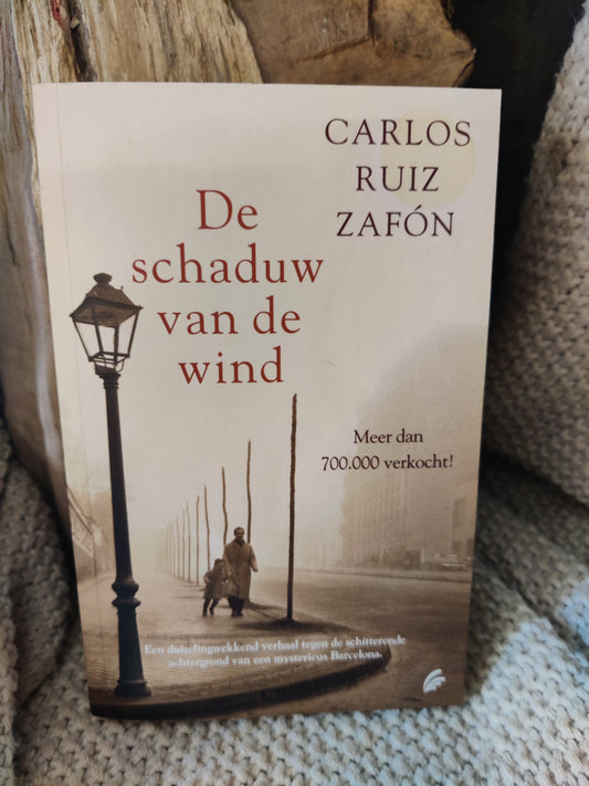 De schaduw van de wind
