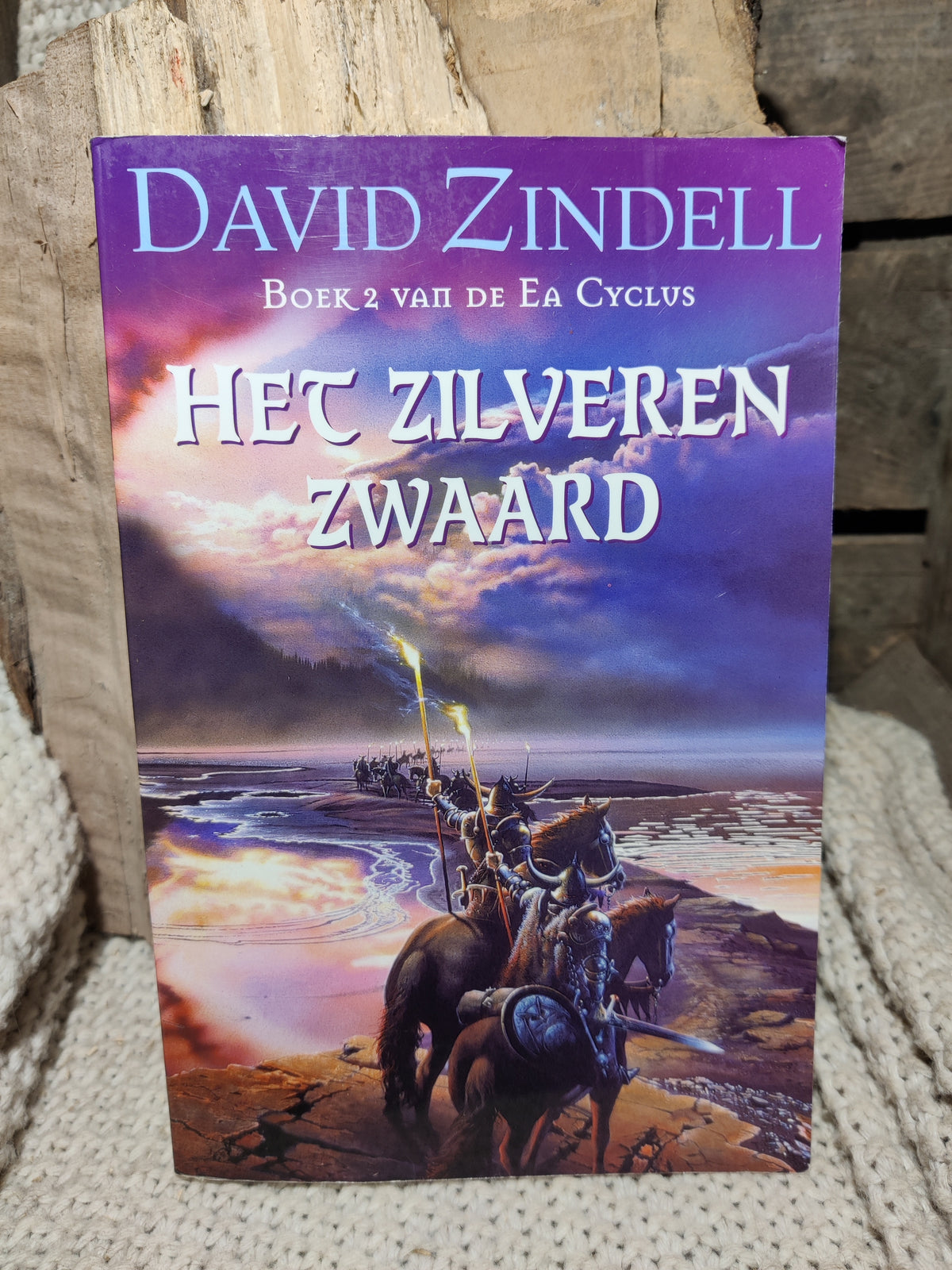 Het zilveren zwaard