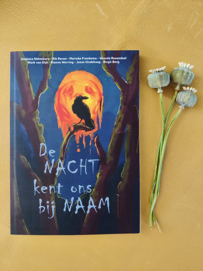 De Nacht kent ons bij Naam
