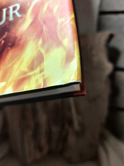 Foto van het boek