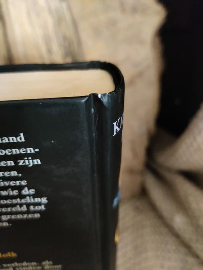 Zilverdolk
