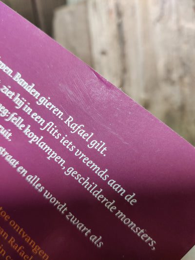 Ontsnapt uit de Dode Hoek