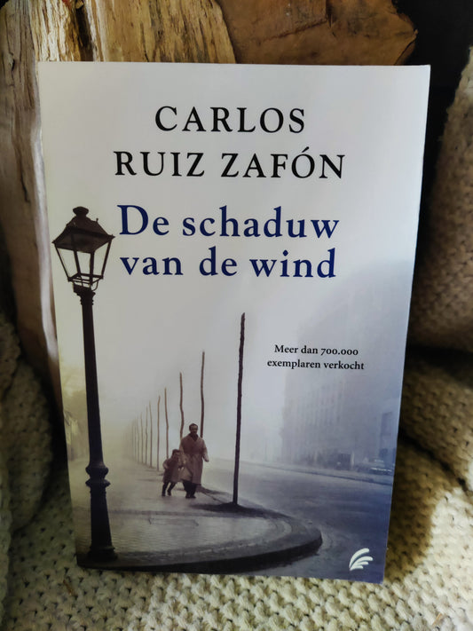 De schaduw van de wind