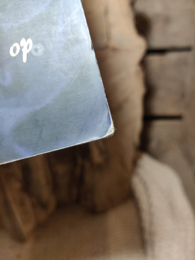Foto van het boek